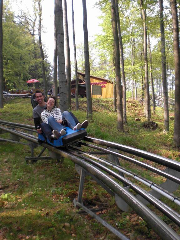 Landhaus Irmgard Braunlage Bagian luar foto